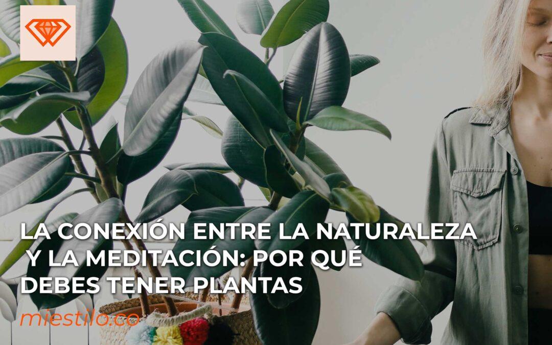 La conexión entre la naturaleza y la meditación: por qué debes tener plantas en tu espacio de meditación